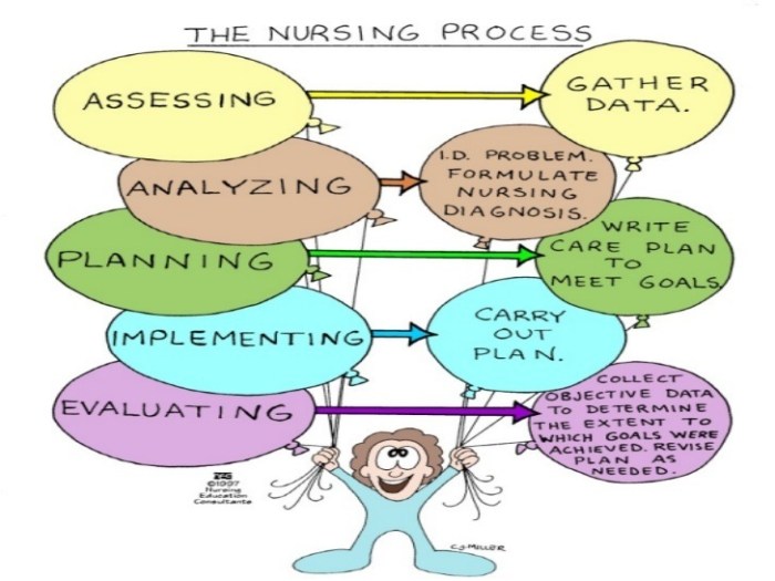 Knowledge and clinical judgement ati