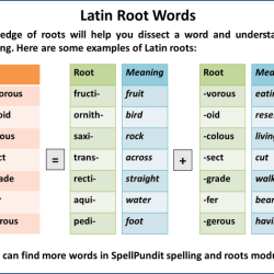 Latin words meanings aid visual their origins calendar remus romulus story print worksheet twinkl