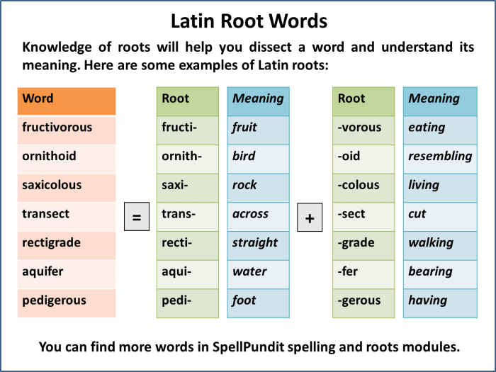 Latin words meanings aid visual their origins calendar remus romulus story print worksheet twinkl