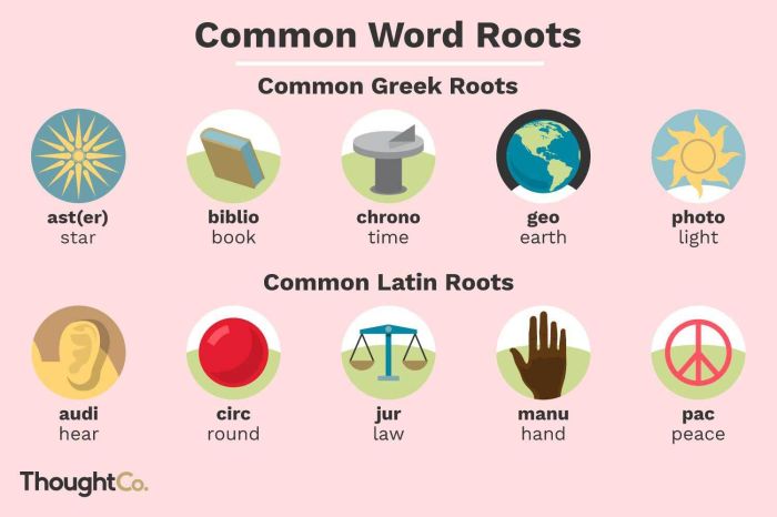 Latin words phrases common let learn practicalpages wordpress choose board