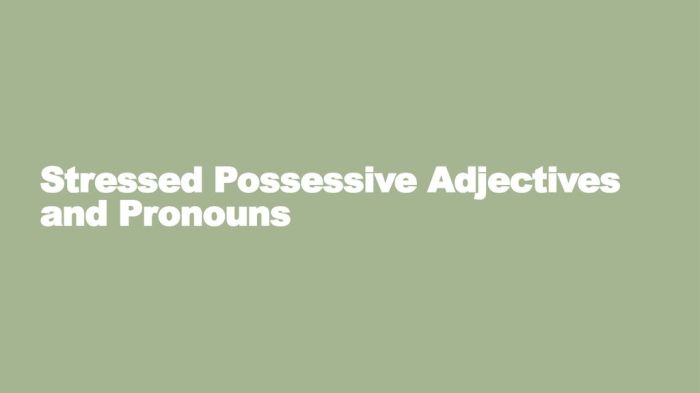 Interactive tutorial: stressed possessive adjectives and pronouns