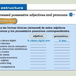 Pronouns possessive adjectives exercises pronoun subject ingles grammar selme possessif lotus sari winda putri