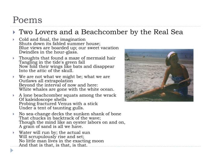 Two lovers and a beachcomber by the real sea