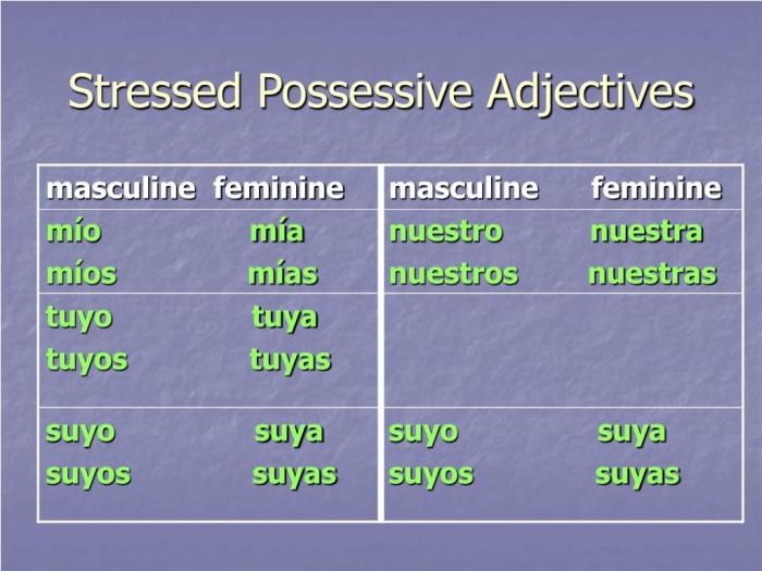 Interactive tutorial: stressed possessive adjectives and pronouns